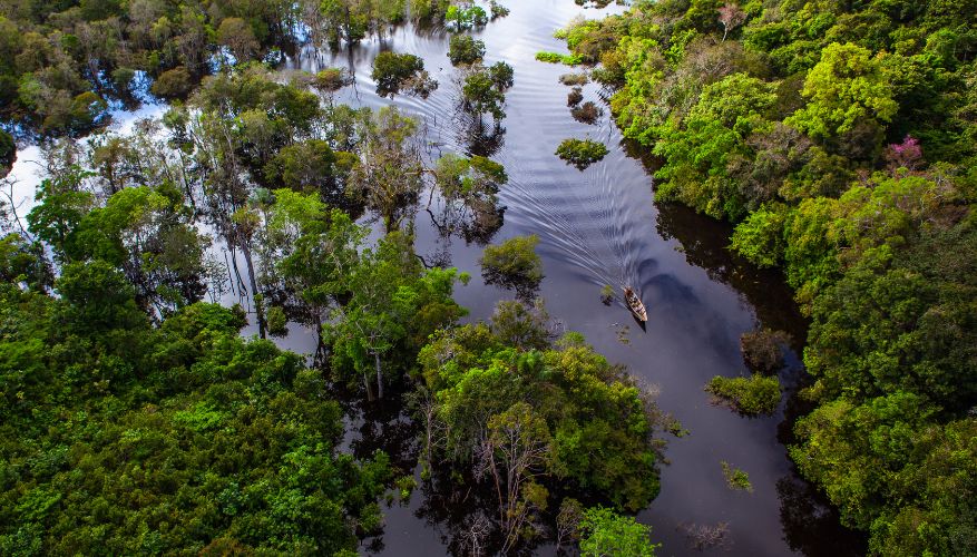 Amazon, South America